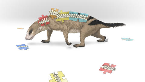 Thrinaxodon copyright April Neander
