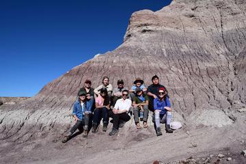 Petrified Forest Spring 2017
