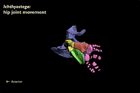 screen_shot_2014-11-18_at_1.16.29_pm.png