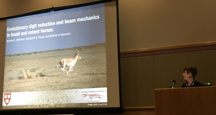 briann_at_sicb_2016_modified.jpg