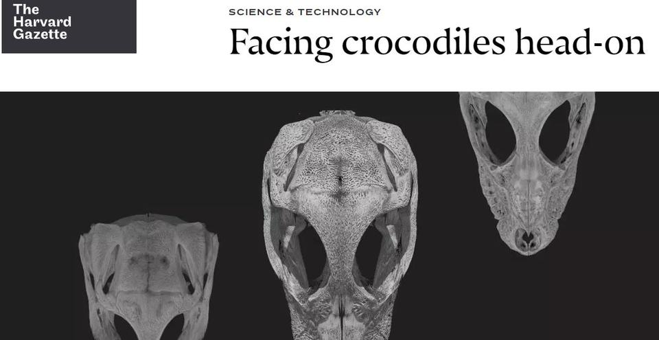 CrocGazette