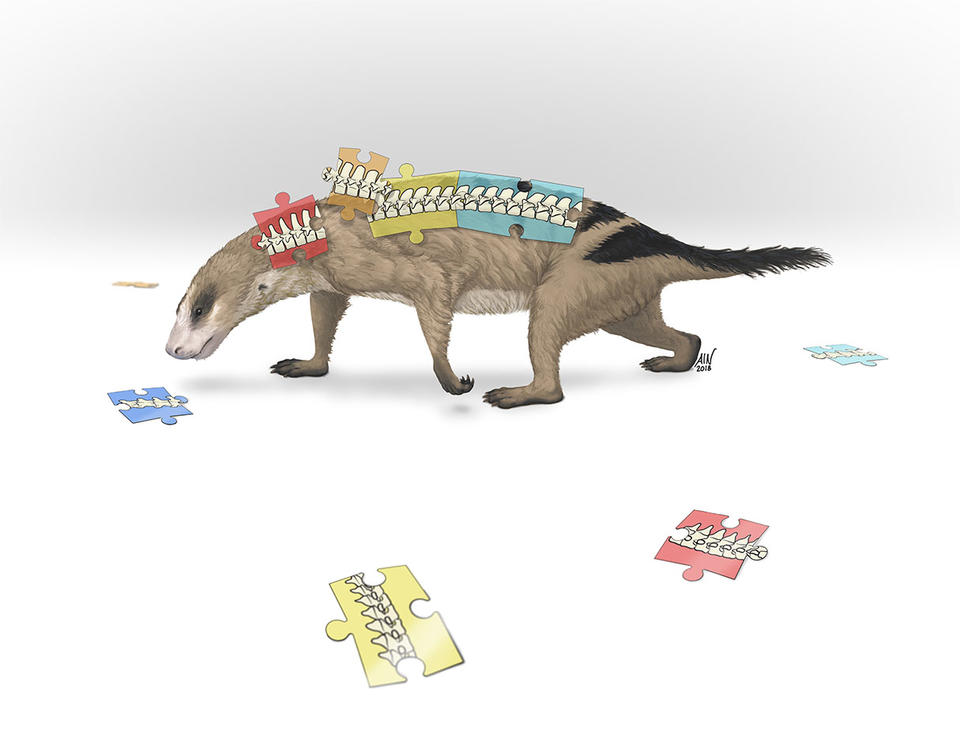 Thrinaxodon copyright April Neander