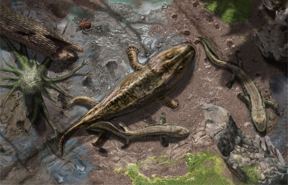 devonian tetrapods